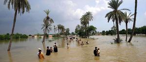 Sarkozy fordert ein stärkeres Engagement der EU bei Umweltkatastrophen wie hier in Pakistan.