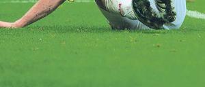 Am Boden bleiben. Trainer Heynckes will keine Sonderrechte für Ballack.