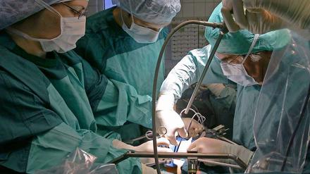 In einer Klinik wird bei einer Operation einem Spender eine Niere entnommen, die für eine Transplantation vorgesehen ist.