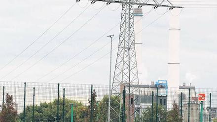 Hochspannung. Bei Herthas Kieztraining in Lichtenberg kamen viele Schaulustige.