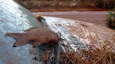 Mehrere hundert Kubikmeter Giftschlamm aus einer Aluminiumfabrik haben Orte im Westen Ungarns überschwemmt.