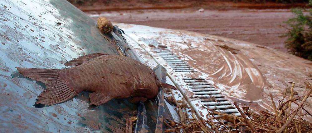 Mehrere hundert Kubikmeter Giftschlamm aus einer Aluminiumfabrik haben Orte im Westen Ungarns überschwemmt.