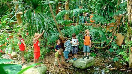 Gerade für Kinder ist die Biosphäre in Potsdam ein Erlebnis.