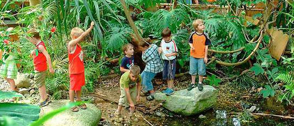 Gerade für Kinder ist die Biosphäre in Potsdam ein Erlebnis.