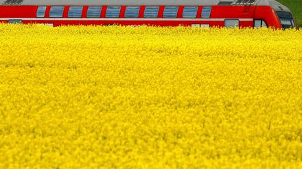 3,4 Millionen Menschen transportiert die Bahn täglich im Regionalverkehr. Diese müssen künftig mehr für ihre Fahrkarten zahlen.