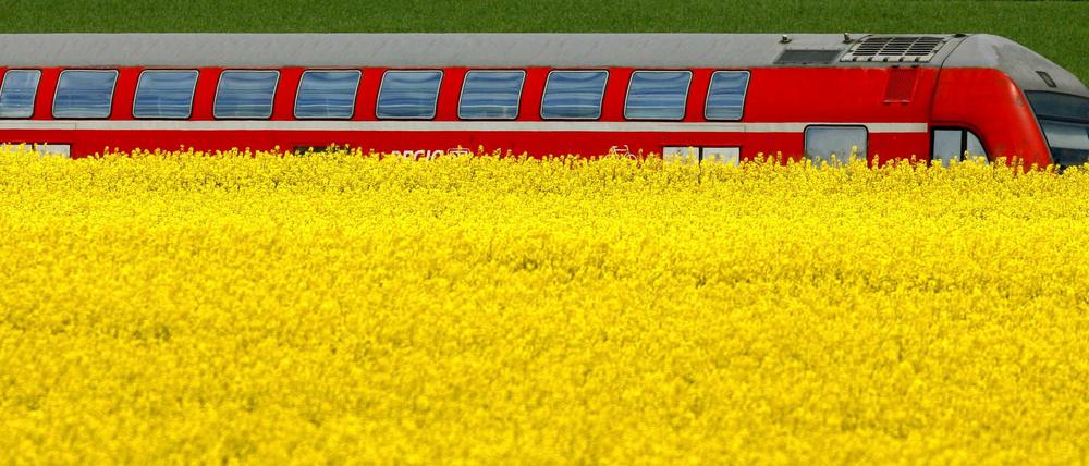 3,4 Millionen Menschen transportiert die Bahn täglich im Regionalverkehr. Diese müssen künftig mehr für ihre Fahrkarten zahlen.