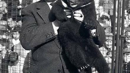 Showtalent. Von Professor Dathes Auftritten kann so mancher heute noch was lernen. Mit Herz und Witz begeisterte er die Berliner schon 1960 für den Tierpark.