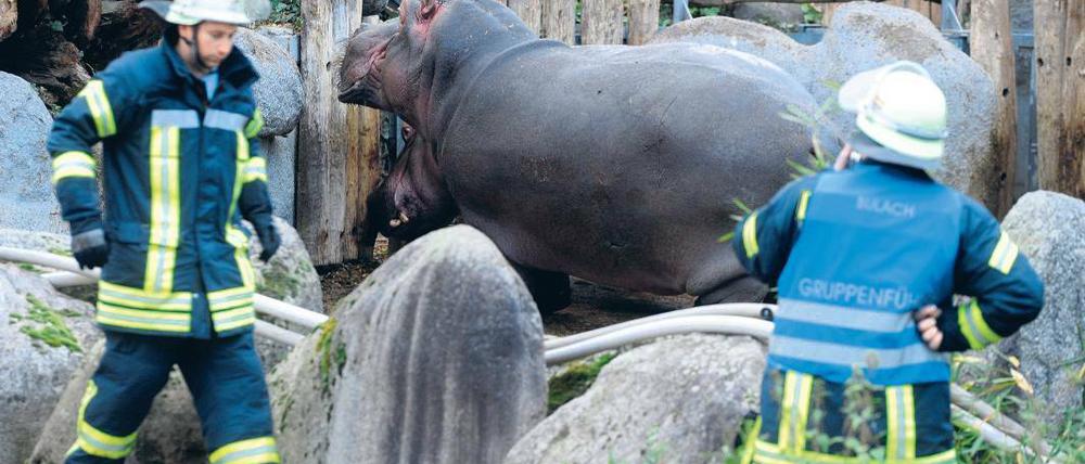Foto: dpa