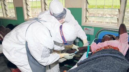 Dem Erreger auf der Spur. 2007 forderte Ebola in Uganda 39 Tote. Forscher haben Teile des Virus jetzt im menschlichen Erbgut entdeckt und suchen eine Erklärung. Foto: AFP