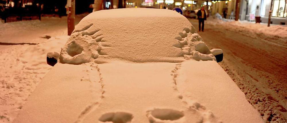 Schneedino im Autoformat.