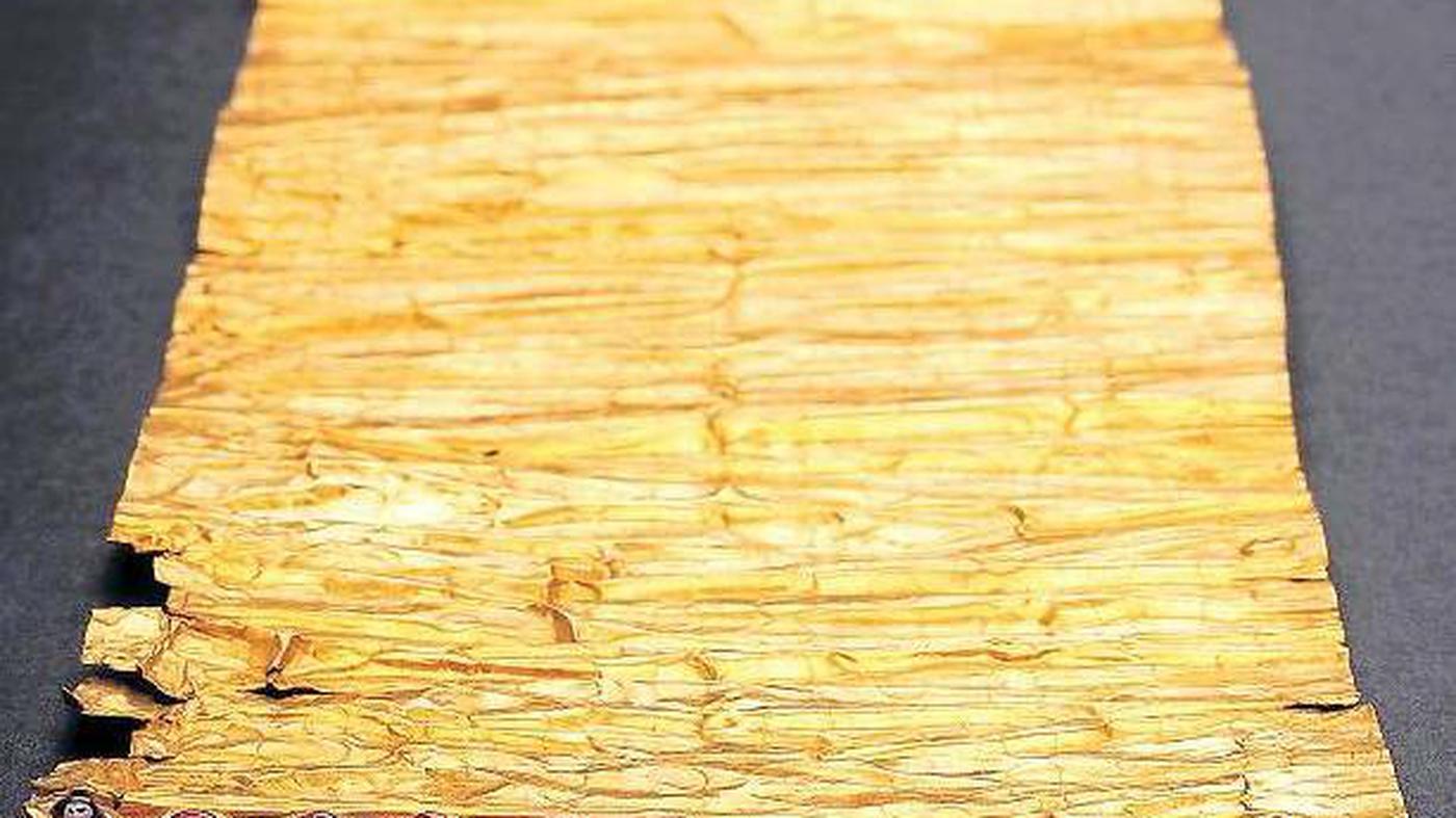 Wissen Goldene Worte