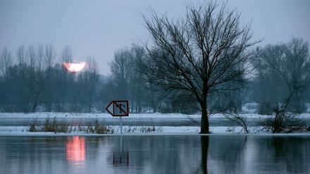 Die Hochwassersituation an der Oder bei Hohensaaten-Finow bleibt angespannt. 