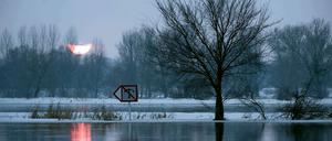 Die Hochwassersituation an der Oder bei Hohensaaten-Finow bleibt angespannt.