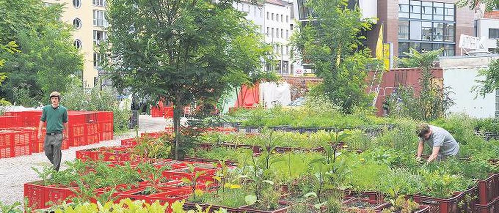 Paprika für alle. In den Kreuzberger Prinzessinnengärten steht ein mobiles Gemüse- und Kräuterfeld, das die Initiatoren Robert Shaw und Marco Clausen gemeinsam mit den Anwohnern beackern. Ganz nebenbei entstehen so Kontakte. Auch Designer Philippe Starck setzt bei den von ihm gestalteten Nobel-Apartments, wie dem im Bau befindlichen „Yoo Berlin“, auf Gemeinschaftsflächen. Das „Yoo Toronto“ (oben rechts) macht es mit einer langen Tafel für alle Mitbewohner vor. Fotos: picture alliance/dpa, Promo