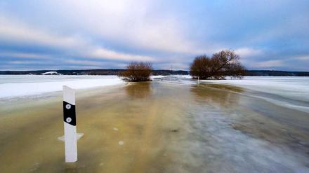 Land unter im Oderbruch. Im Ernstfall müssen 15.000 Menschen in Sicherheit gebracht werden.