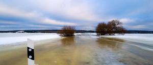 Land unter im Oderbruch. Im Ernstfall müssen 15.000 Menschen in Sicherheit gebracht werden.