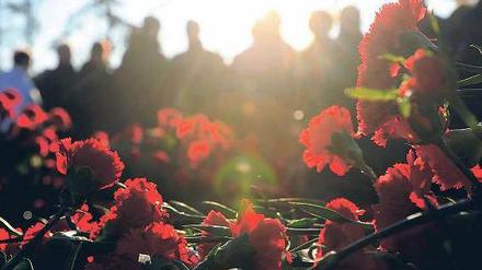 Rote Nelken. An diesem Sonntag zieht, was links denkt, nach Friedrichsfelde – im Gedenken an Liebknecht und Luxemburg und ihre Utopie im Herzen. Foto: ddp/Bilan