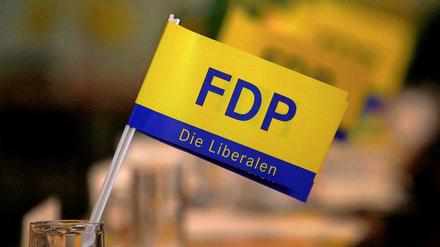 Fähnchen im Wind oder Sturm im Wasserglas? FDP-Nachwuchspolitiker gehen auf Distanz zum Chef.