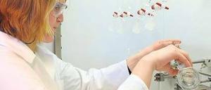 Friederike Hahn fahndet im Lebensmittelinstitut Oldenburg nach Dioxin. 