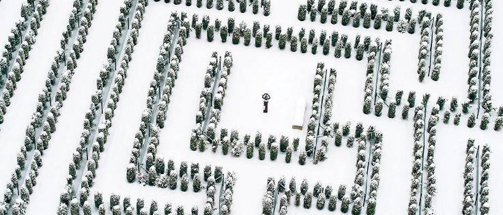 Wohin? Literatur, Kurse und Tests gibt es zu diesem Thema in rauen Mengen. Experten empfehlen nach wie vor die klassische Potenzialanalyse: Was kann ich? Welche Nachfrage auf dem Arbeitsmarkt kann ich bedienen? Foto: Picture Alliance/dpa