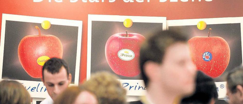 Runde Sache. Obstbauern würden vermutlich einen Apfel als Imbiss empfehlen. Foto: dapd