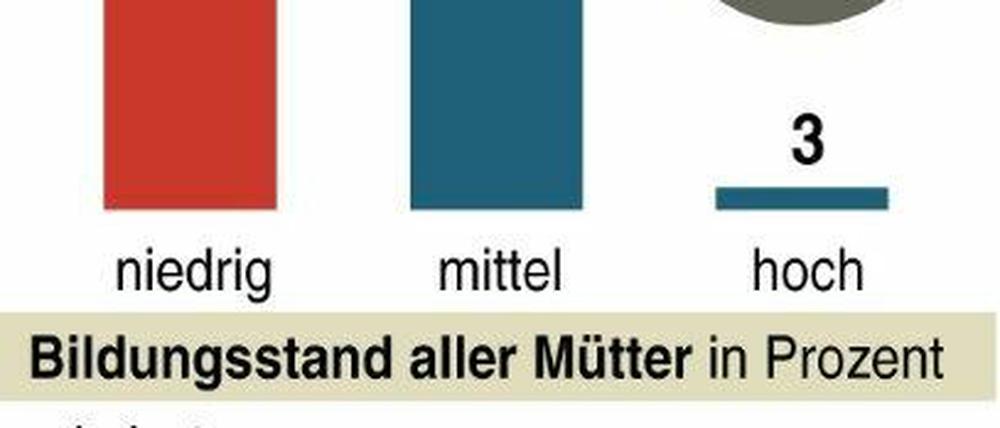 Nur drei Prozent der jungen Mütter haben einen Hochschul- oder Fachhochschulabschluss.