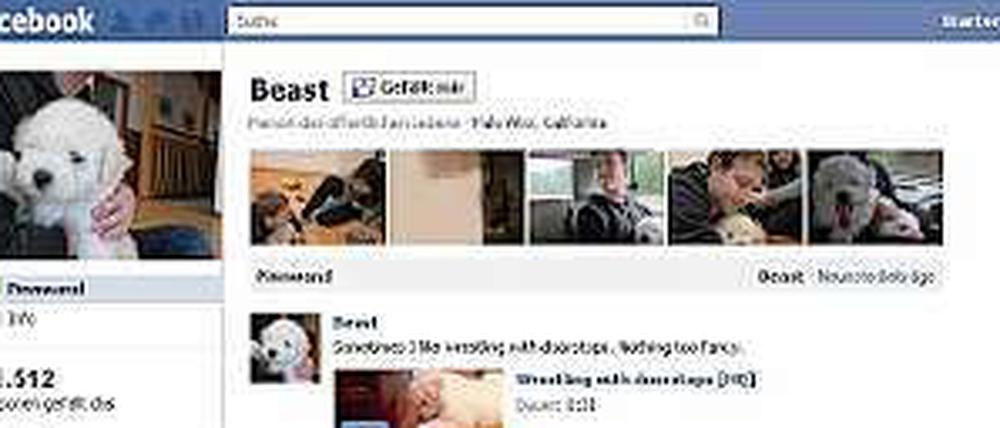 Nur echte Freunde freuen sich über Mark Zuckerbergs Hundewelpen Beast.