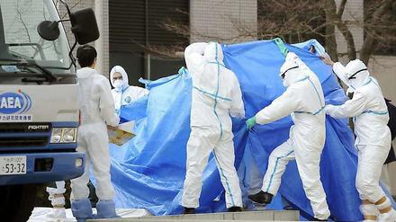 Sichtgeschützt hinter einer blauen Plane werden die verstrahlten Arbeiter aus dem AKW Fukushima Eins ins Krankenhaus geführt. Sie waren in radioaktiv-verseuchtes Wasser getreten.