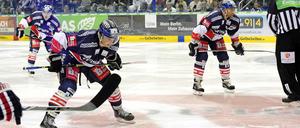 Bereit zum Angriff. Die Eisbären treffen im Viertelfinale auf Ingolstadt