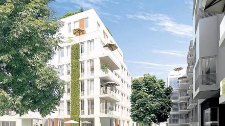 Umstrittener Neubau. Gegner der „Choriner Höfe“ machen mit Flyern Stimmung gegen das Projekt. 
