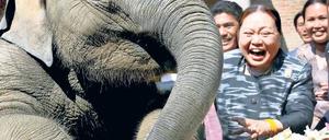 Star im Gehege. Das sechs Jahre alte Tier begeisterte viele Zoobesucher. Am Dienstagmorgen wurde es tot gefunden.
