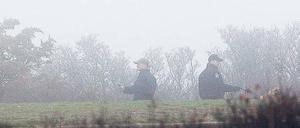 Auf der Suche. Angehörige der Nassau County Police kämpfen sich Meter für Meter durch die Büsche. Foto: rtr