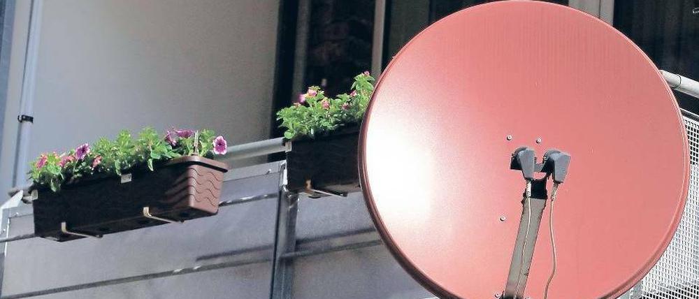 Nur pink genügt nicht. Satellitenschüsseln müssen von April 2012 an digitale Signale empfangen können. Foto: dpa