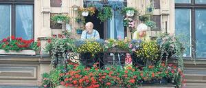 Alles so schön bunt hier. Volle 48 Euro gibt jeder Deutsche im Durchschnitt für Balkon- und Gartenpflanzen aus. Die beiden Hobbygärtner hier offensichtlich etwas mehr. Foto: dapd