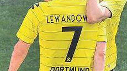 Das ist doch nicht zu fassen. Die Anspannung bei Neven Subotic und Robert Lewandowski löst sich. Foto: dapd