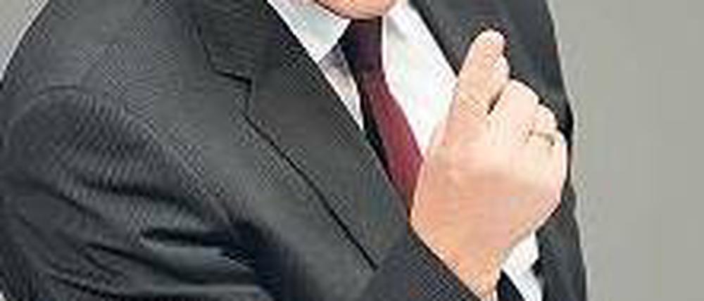 SPD-Fraktionschef Steinmeier. Foto: dpa