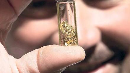 Ist der Rausch vorbei? Die Ausbeute der Goldschürfer in Kalifornien ist ansehnlich – aber deutlich weniger Wert als noch vor drei Wochen. 