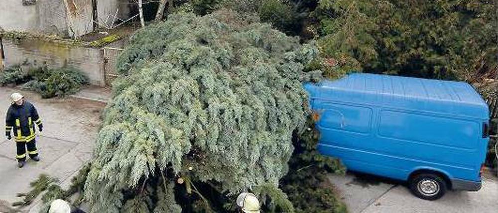 Wetterschaden. Stürme wie das Orkantief Xynthia im vergangenen Jahr sollen bis zum Ende dieses Jahrhunderts um mehr als 50 Prozent zunehmen.Foto: ddp