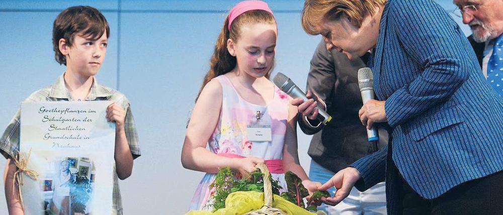 „Riecht gut!“ Aus Goethes Gewürzgarten brachten Thüringer Schüler der Kanzlerin das Kräuterpflänzchen Gewürztagetes mit – und ein Goethe-Kochbuch gleich mit.