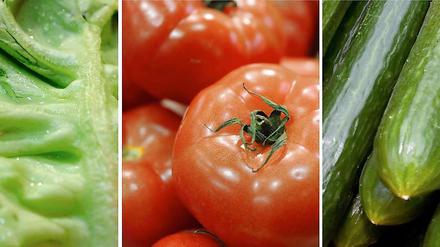 Das Robert Koch-Institut warnt davor, rohe Tomaten, Salatgurken und Blattsalate aus Norddeutschland zu essen.