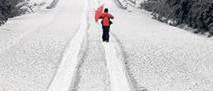 Bedeckt. Überall nichts als Asche Foto: rtr