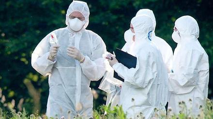 Höchste Konzentration. Mitarbeiter des BfR und des RKI nehmen Proben auf dem Bio-Betrieb in Bienenbüttel.