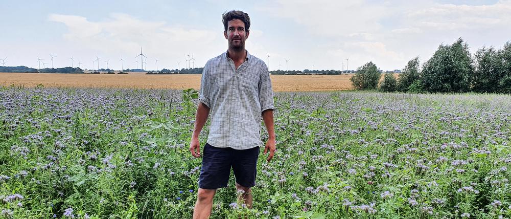 Der Landwirt Rudolf Hammerschmidt ist zwar dankbar für Regen, doch während der Erntezeit kommt der Niederschlag unpassend.