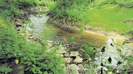 Eine Idylle. Der Erlenbach auf dem Stadtgebiet von Frankfurt am Main ist renaturiert worden und gilt als beliebtes Ausflugsziel. Foto: Boris Roessler/dpa