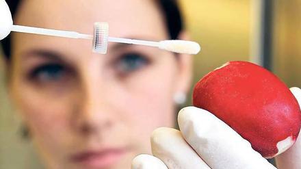 Gemüseprobe. Weiterhin werden hunderte Proben von Lebensmitteln, Menschen und aus der Umwelt auf den Ehec-Erreger O104 getestet. Wie weit verbreitet der Keim in der Bevölkerung ist, gehört zu den zahlreichen offenen Fragen.