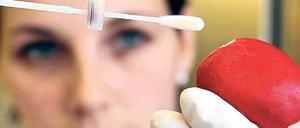 Gemüseprobe. Weiterhin werden hunderte Proben von Lebensmitteln, Menschen und aus der Umwelt auf den Ehec-Erreger O104 getestet. Wie weit verbreitet der Keim in der Bevölkerung ist, gehört zu den zahlreichen offenen Fragen.