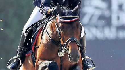 Hoch hinaus. Janne Meyer überzeugte letztes Jahr in Aachen und wurde danach Mannschafts-Weltmeisterin. Foto: dpa