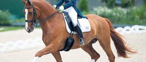 Harmonie beim Reiten. Laura Bechtolsheimer und ihr Pferd Mistral Hojris stehen für pferdegerechten Spitzensport. Am Samstag kamen sie beim Chio in Aachen nur auf Rang vier. Foto: dpa