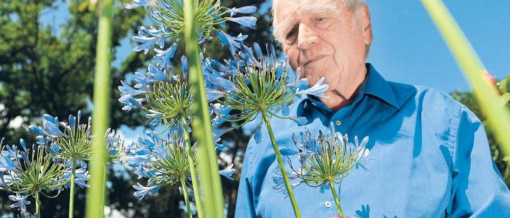 Flora et labora. Martin Walser schaut sich in seinem Garten im Überlinger Ortsteil Nussdorf die Schmucklilien an. Foto: dapd