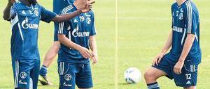 Freude am Training. Die war den Spielern unter Magath vergangen. Foto: dapd